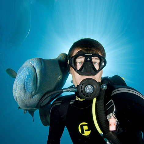 Chris Hamilton