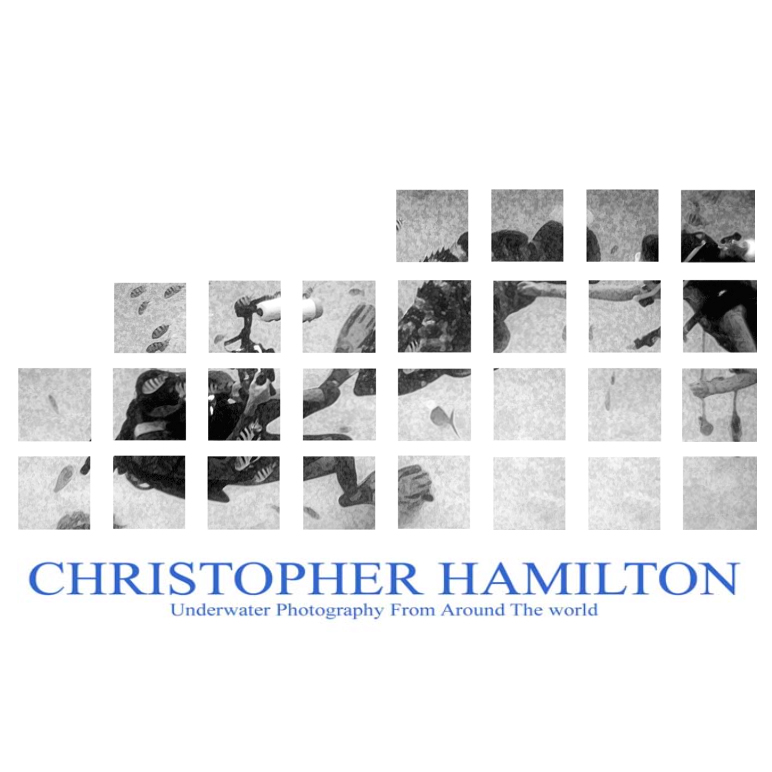 Chris Hamilton