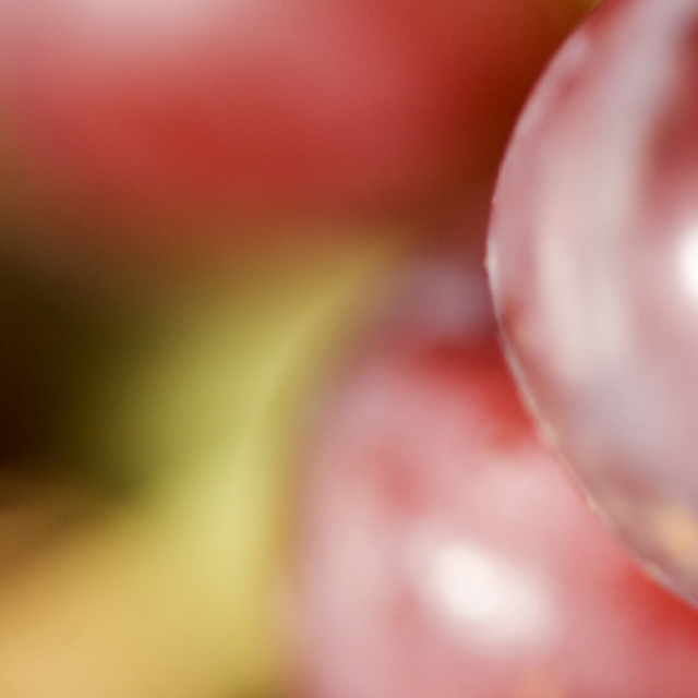 Grapes